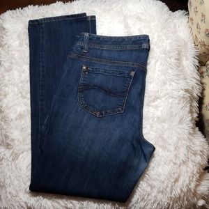 Tommy Hilfiger 5 pocket denim